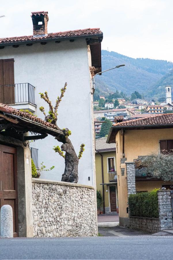 Cadepulan - Lake Como Residence Eksteriør bilde